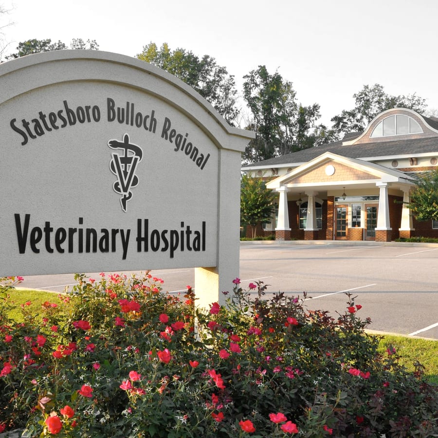 Statesboro Bulloch Regional Veterinary Hospital in Statesboro